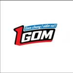 1GOM nl Profile Picture