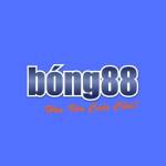 Bong88 fdev Profile Picture