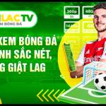 twitframecom die web Profile Picture