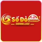 Sodo66 Sodo66 Profile Picture