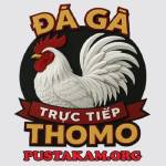 ĐÁ GÀ TRỰC TIẾP THOMO Profile Picture