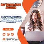 Buy Verified Bybit Accounts profile picture