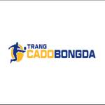 Trang Cá Độ Bóng Đá Profile Picture