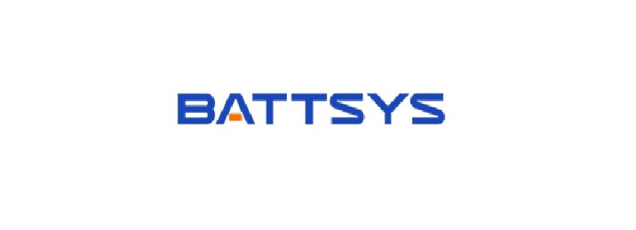 Best China lithium battery companies Cover Image