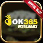 ok365 boats Profile Picture