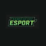 trangcacuocesport org Profile Picture