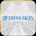 dr88 skin Profile Picture