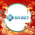 SHBETme com Profile Picture