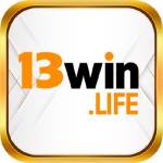 13 WIN Profile Picture