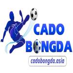 Cá độ bóng đá Nền Tảng Cá Cược Trực Tuyến Uy T Profile Picture