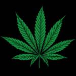 marlon henaaa Profile Picture