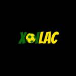 pavestepcom scam Profile Picture