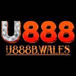 U888B WALES Profile Picture