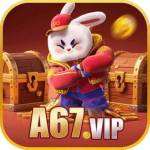 a67 vip Profile Picture