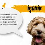 Heranin Babasi profile picture