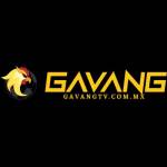 GaVangTV COMMX Profile Picture