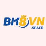 BK8 vnspace Profile Picture