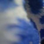 Ivan Long Profile Picture