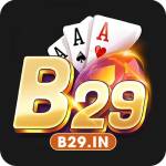 B29 In Profile Picture