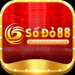 sodo88 comorg Profile Picture