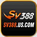 SV388 388 Profile Picture