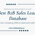 Best B2B Sales Leads Database Profile Picture
