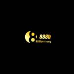 888B Org Profile Picture