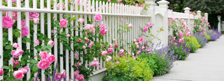 KD Fence Deck Rochester LLC Cover Image