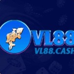 Vl88 cash profile picture