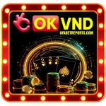 okvnd com Profile Picture