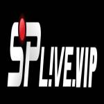 SPLIVE IVE Profile Picture