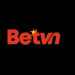 betvn betvn Profile Picture
