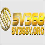 sv368y org Profile Picture