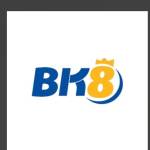 BK8 net vc Profile Picture