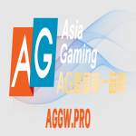 Ag官网 官网 Profile Picture