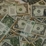 Snethi Roy Profile Picture