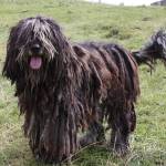 prasobsook saisud Profile Picture