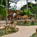 mahan mahani Profile Picture