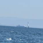 Bnnnn Bbnn Profile Picture