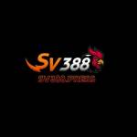 SV 388 Profile Picture