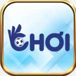 Okchoi ASIA Profile Picture