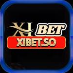 Xibet so Profile Picture