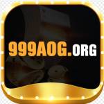 999aogorg 999aogorg Profile Picture