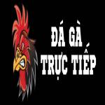 Đá Gà Trực Tiếp Profile Picture