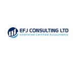 Efj CONSULTING Profile Picture