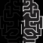 Dr Somaia Mohamed Profile Picture