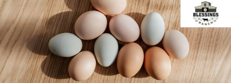 Blessings Ranch Cover Image