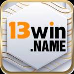 13win name Profile Picture