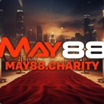 MAY88 charity Profile Picture