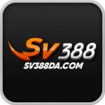 sv388da com Profile Picture